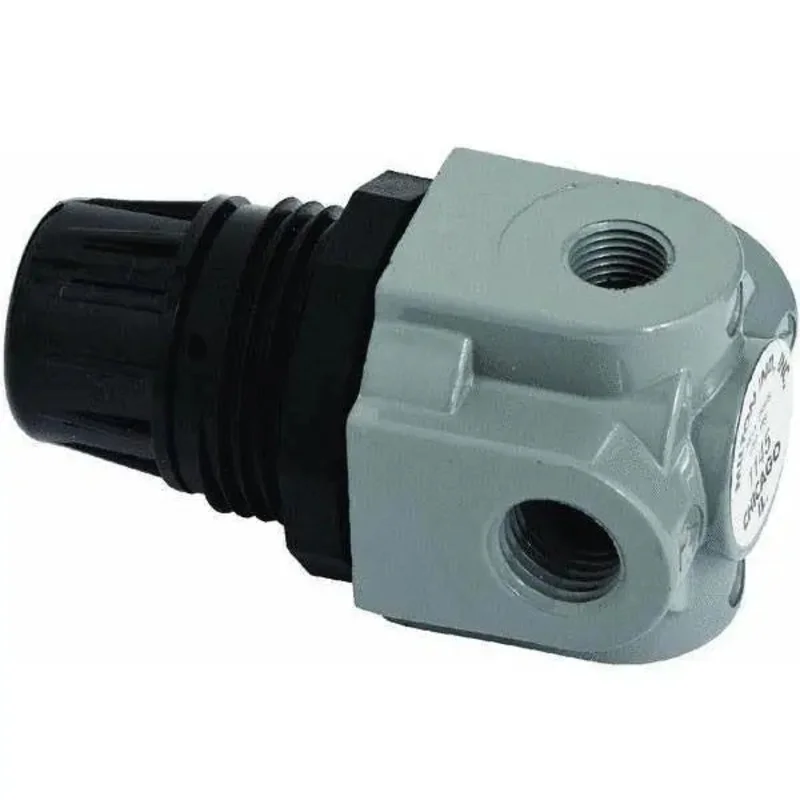 Milton 1/4 in NPT Mini Heavy Duty Regulator