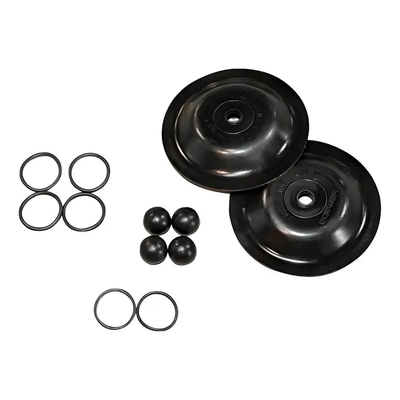 MTP Wet-End Rebuild Kit for G25-AN Pump