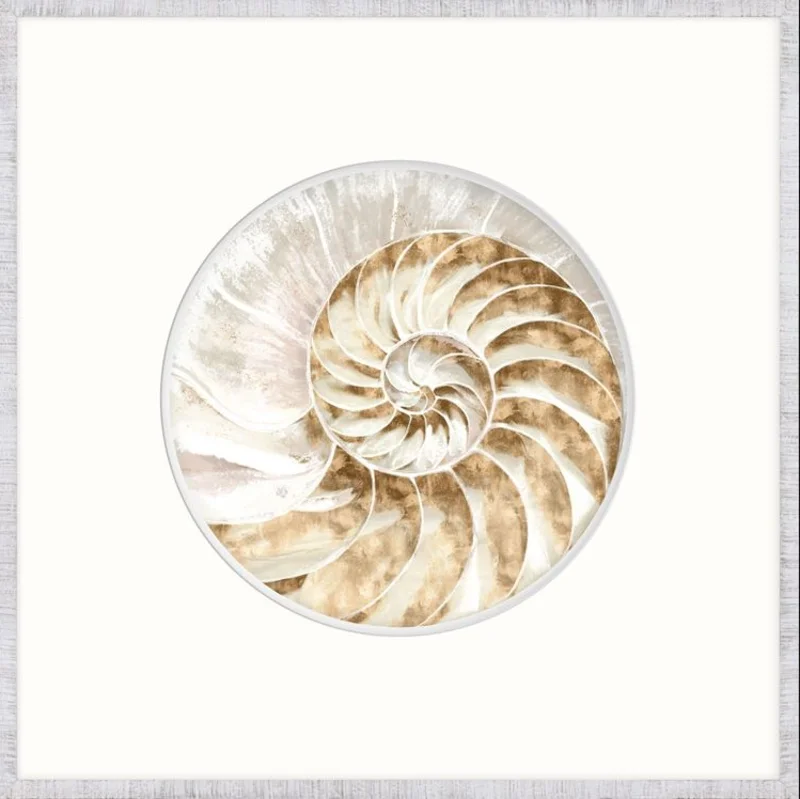 Nautilus IV, 21 x 21