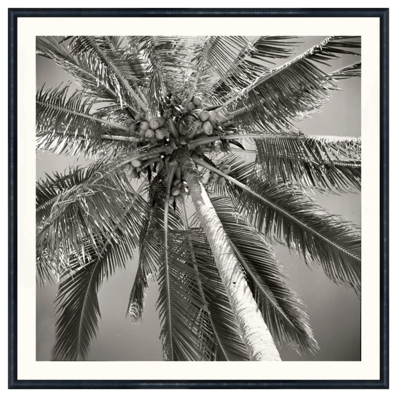 Nostalgia Collection - Palm Tree C. 1959, 18.75" 18.75"