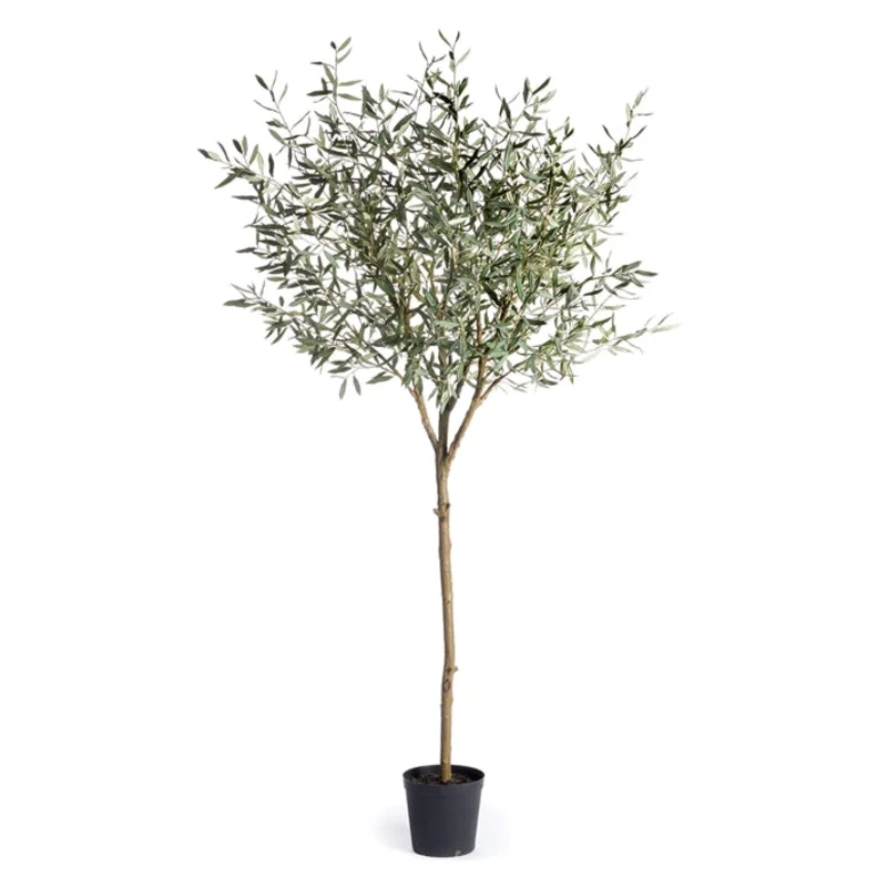 Olive Tree Drop-In 96"