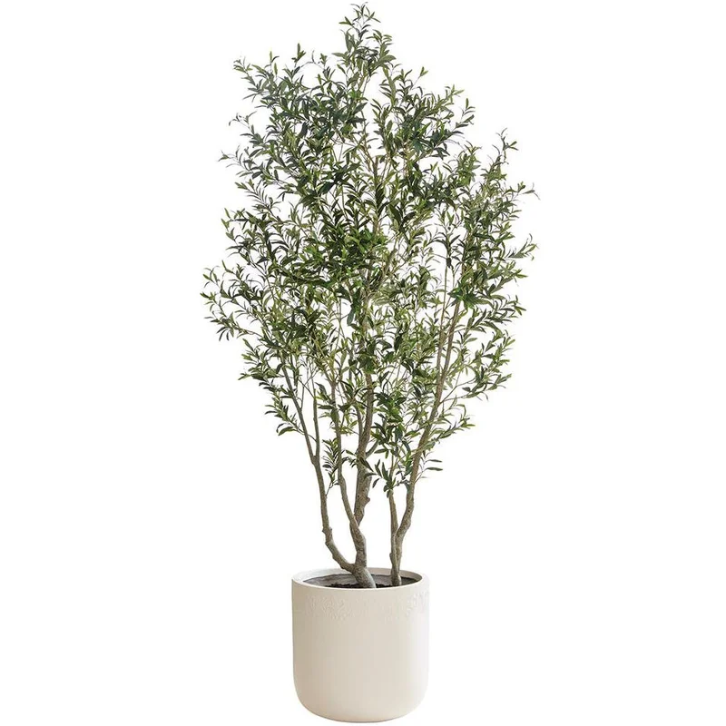 Olive Tree in Fiber Clay Plante, 104"
