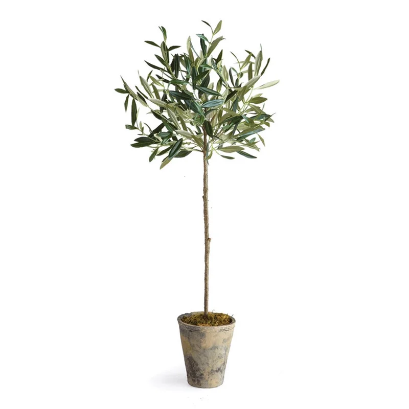 Olive Tree Potted, 46"