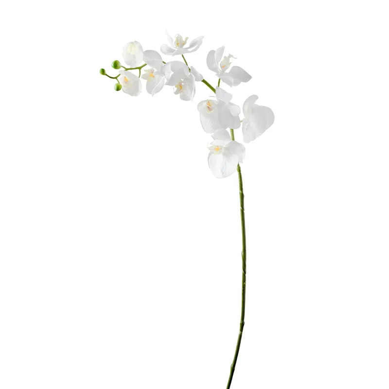 Orchid Faux Single Stem 30", White