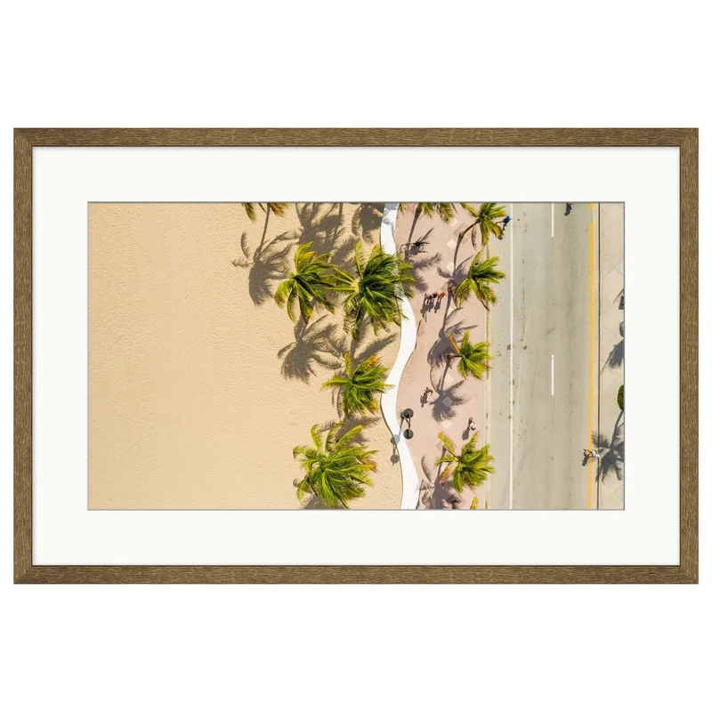 Palms from Above, 36"W x 24"H