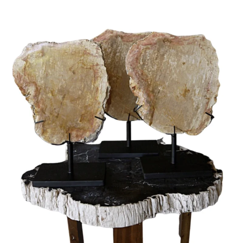 Petrified Wood Slab on Stand