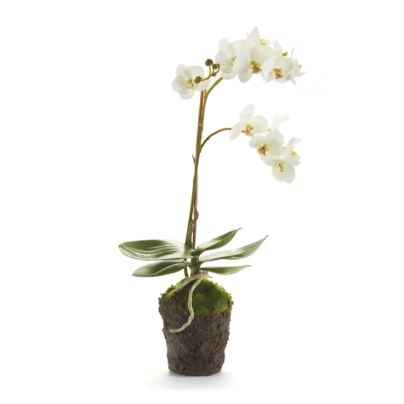 Phalaenopsis Orchid Drop-In 17"