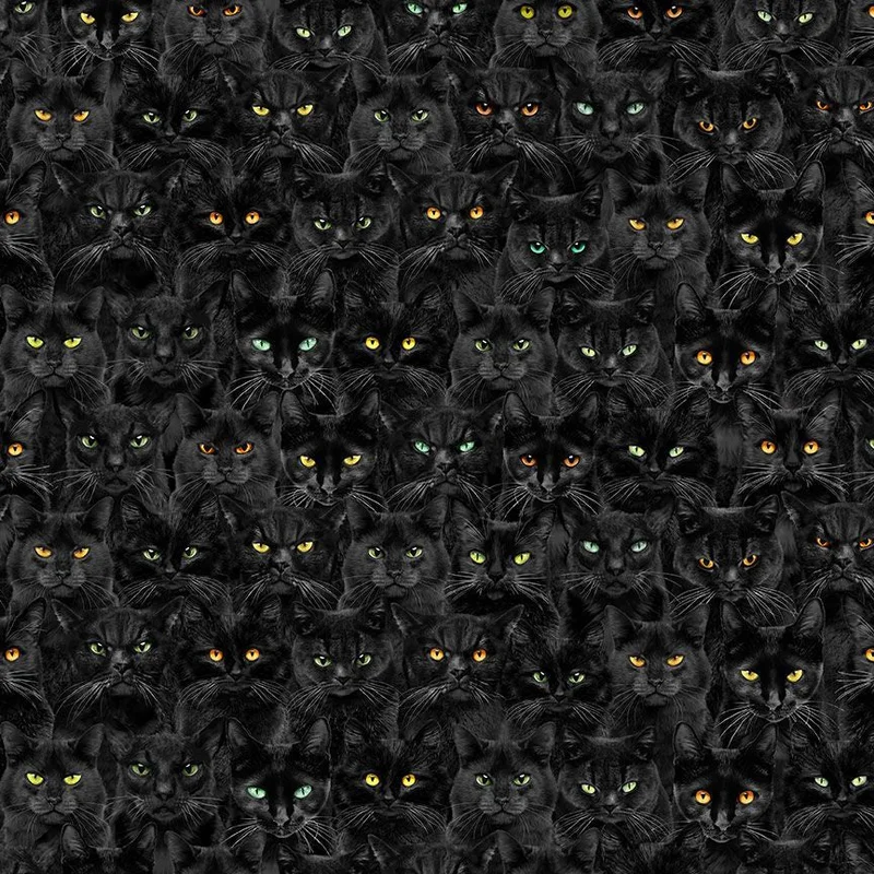 PICK YOUR POISON: Wicked Black Cats Magic-Black (1/4 Yard)