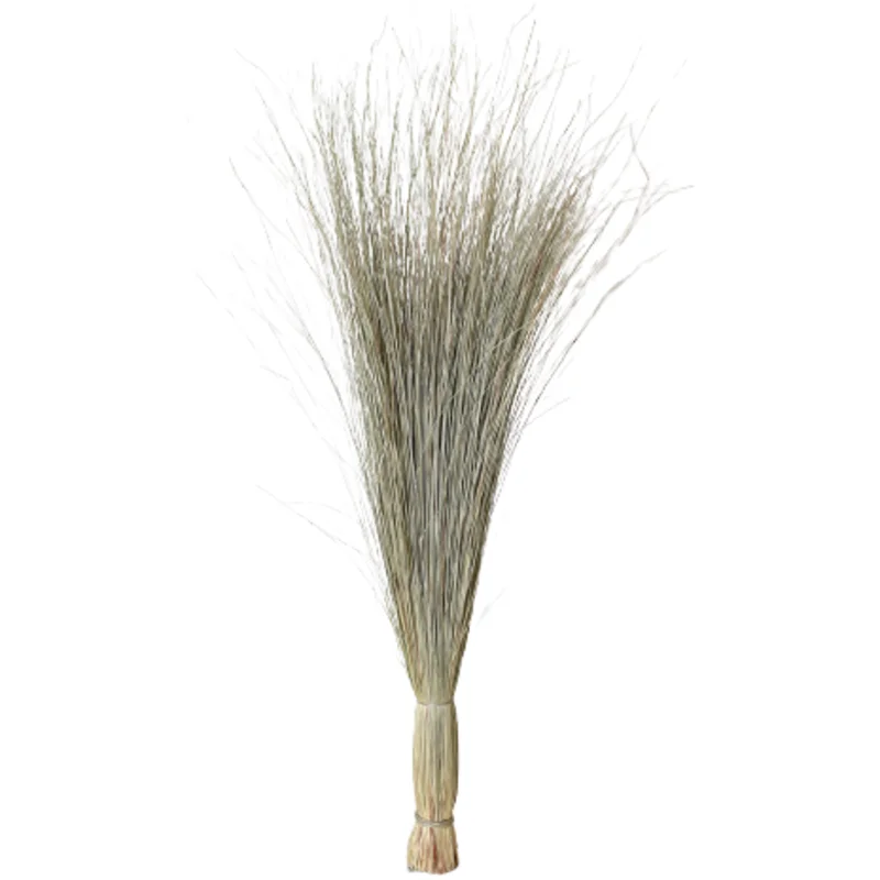 Preserved Green Dune Grass Bundle, 36"