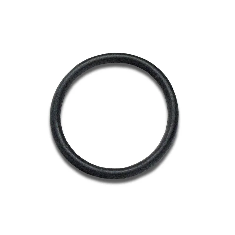 Riser Tube O-Ring