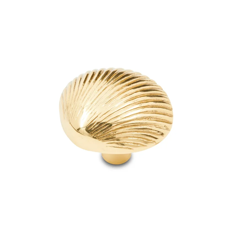 RK International - Novelty - Shell Cabinet Knob