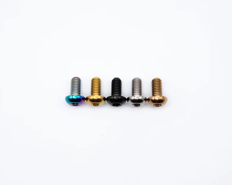 Rotor Bolt - M5 Torx T25 Head - Titanium Rainbow Oil Slick