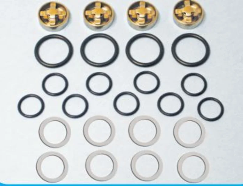 Sandia 80-0016-RB, Rebuild Kit Valve and Seals, 500 PSI Pump