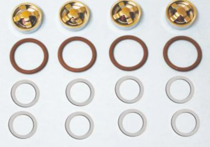 Sandia 80-0112-RB, Rebuild Kit Valve and Seals, 1200 PSI Pump