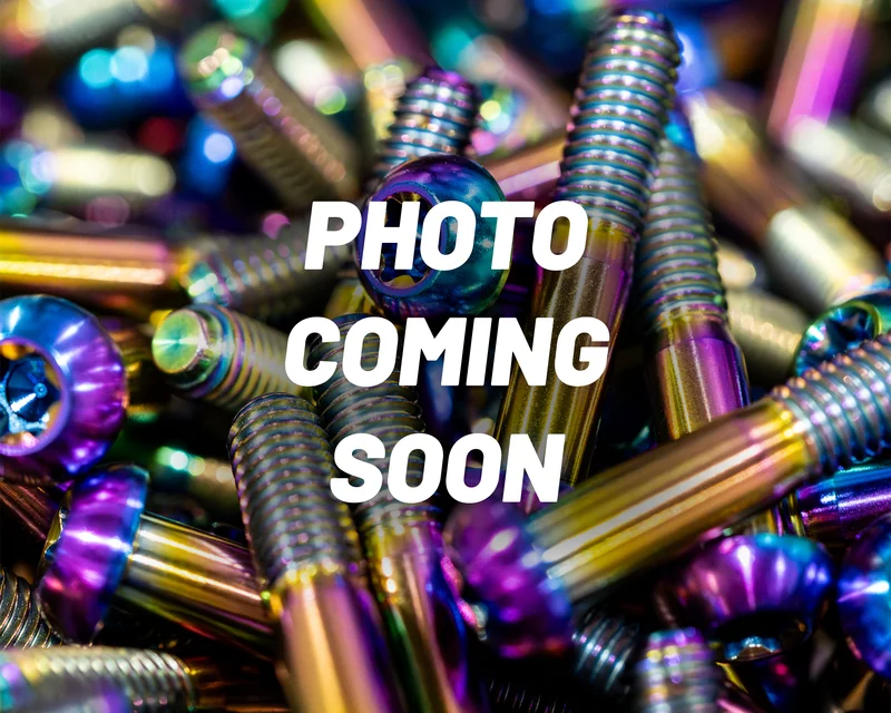 Santa Cruz Stigmata Frame Bolt Kit - Titanium Rainbow Oil Slick