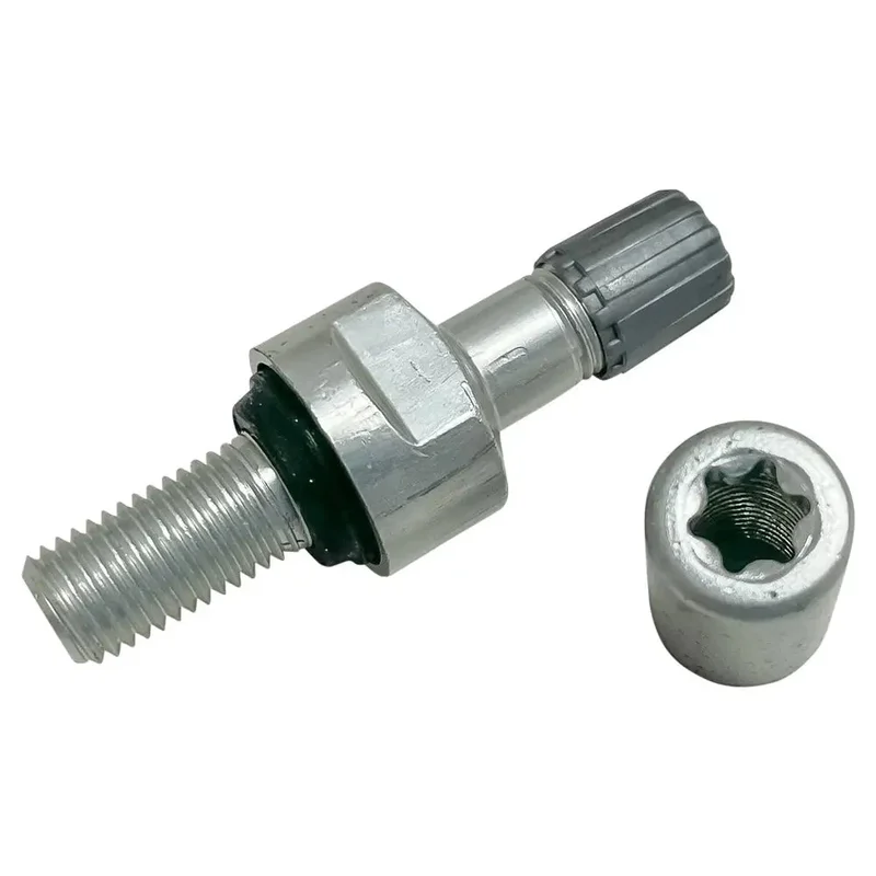 Schrader Straight Stem Valve Kit/Service Pack for 33900 EZ-sensor 90 Light Gray