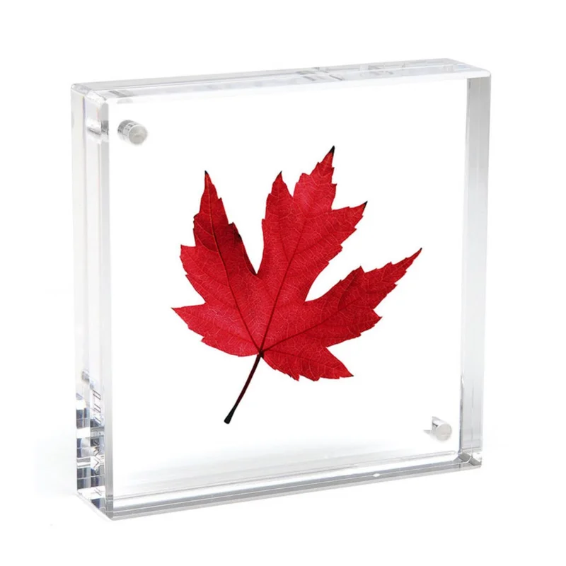 Square Magnet Frame, 3 Sizes