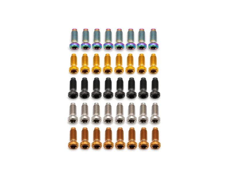 SRAM 8 bolt Crank Spider Bolt Kit (8 count) - Titanium Rainbow