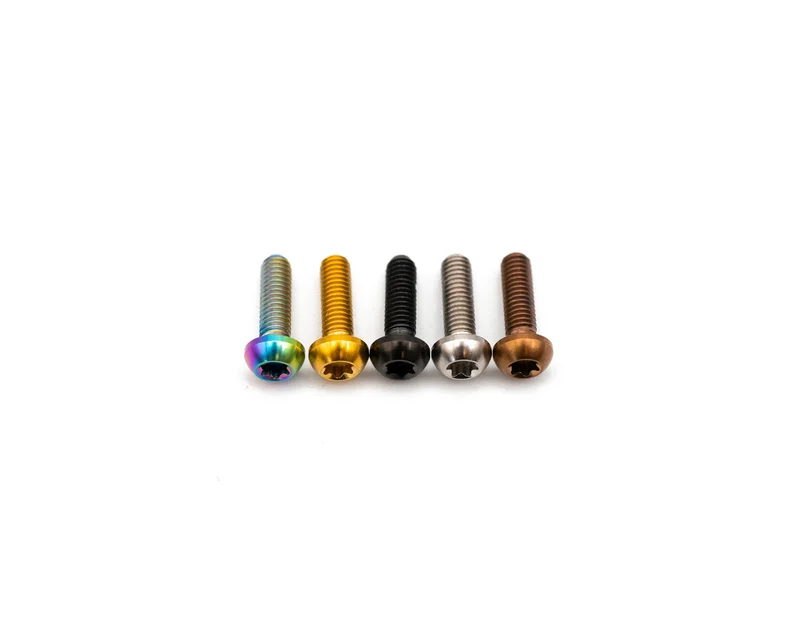 SRAM Lever Pivot Bolt - Titanium - Single Bolt Rainbow Oil Slick