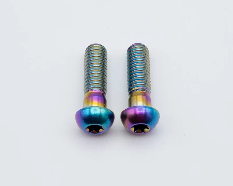 SRAM Mountain Caliper Body Bolts - Titanium Rainbow