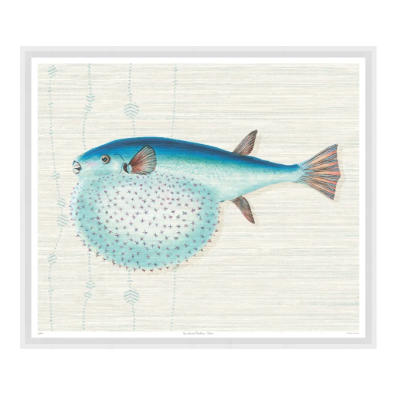 St Kitts Puffer Fish, 31" x 26"