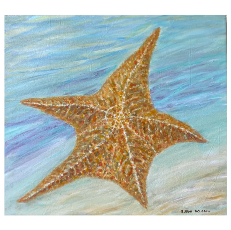 Starfish, 27.5"W x 24.5"H