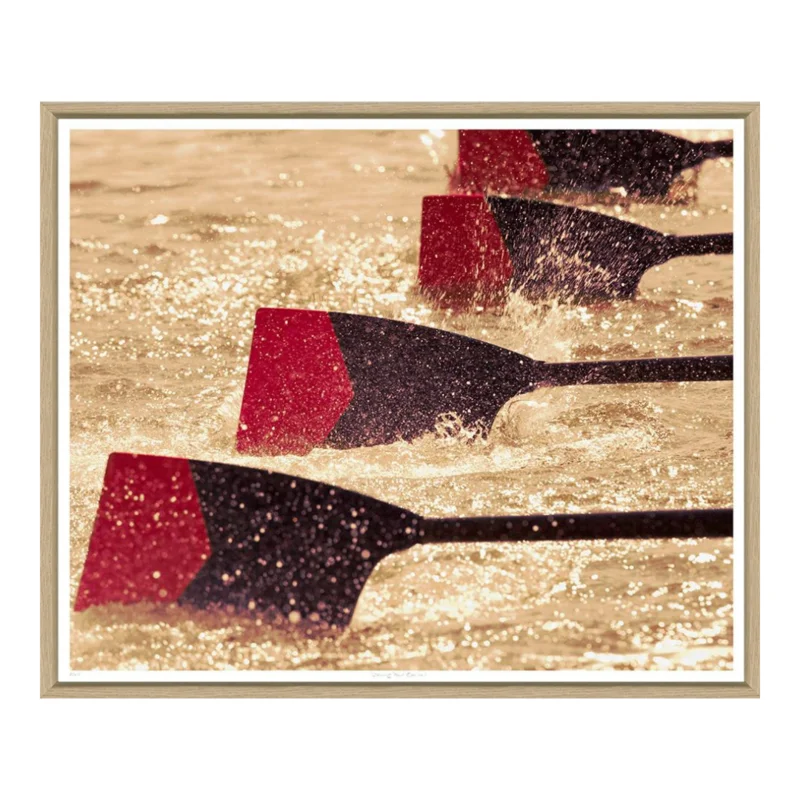 Sticking Your Oar In I, 30" x 26"