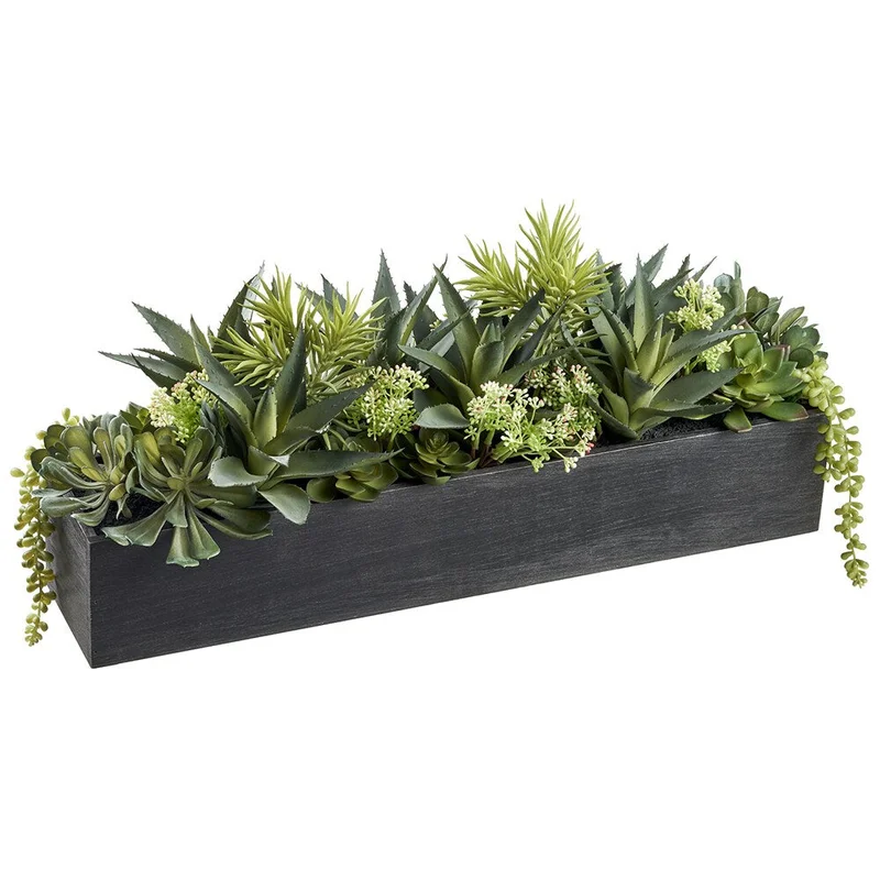 Succulent Garden in Wood Box, 26.75"