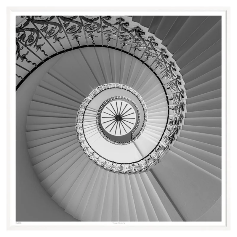 Tulip Stairs, 37" x 37"