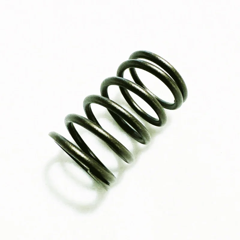 W13058 | Onyx Inner Spring of Valve