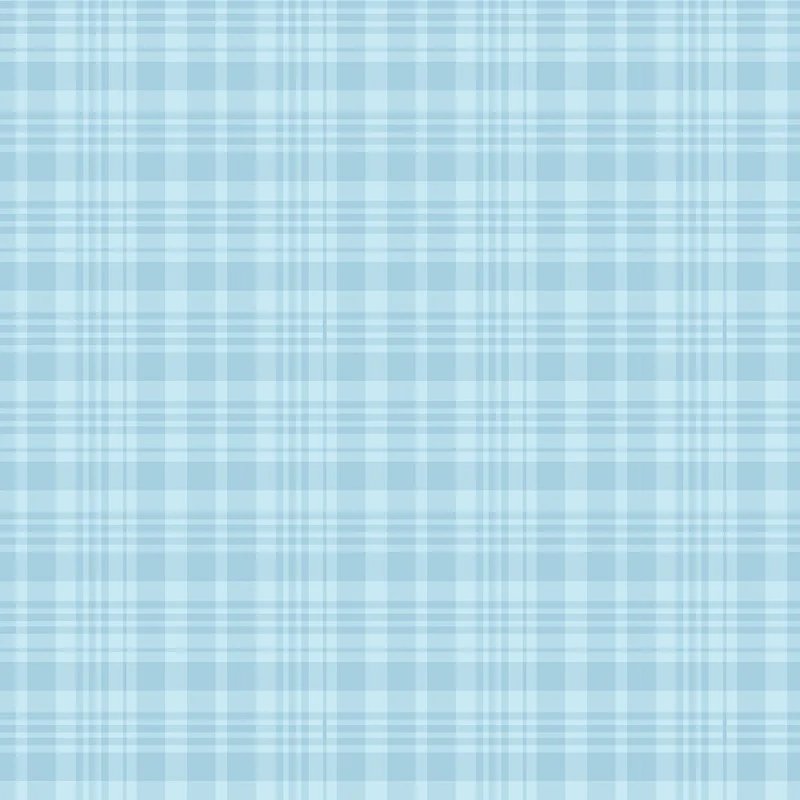 WINNIE THE POOH: Plaid-Blue (1/4 Yard)