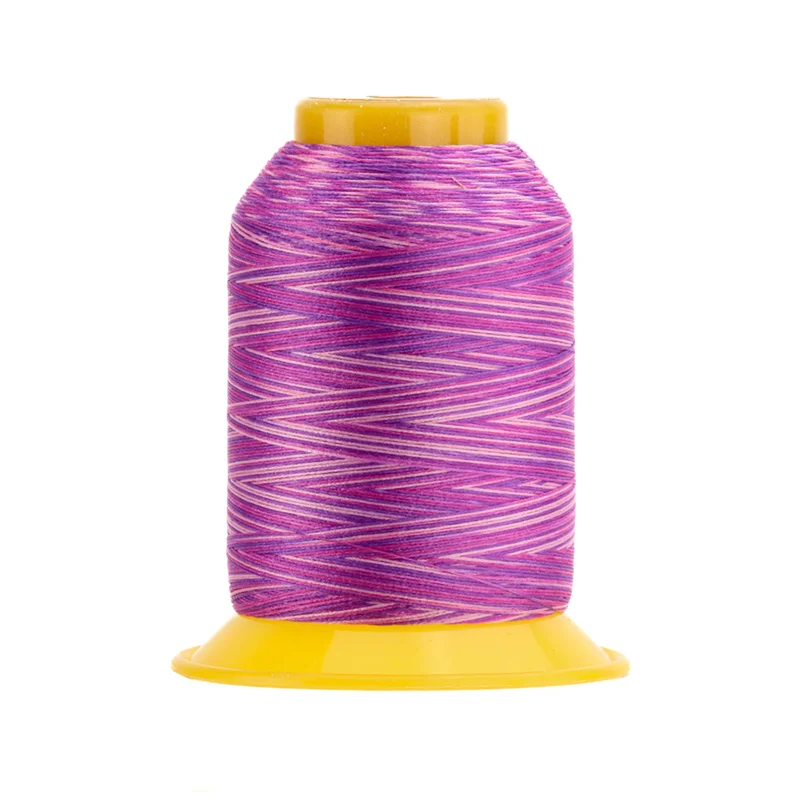 WonderFil SOFTLOC: Tex35 Wooly Poly Variegated 1100yd-Daphne 55