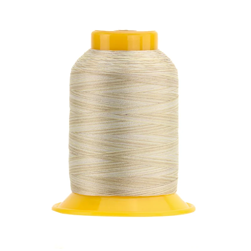 WonderFil SOFTLOC: Tex35 Wooly Poly Variegated 1100yd-Sand Dune 24